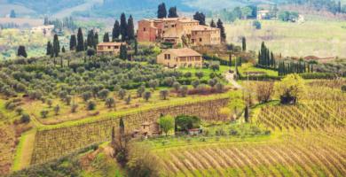 Best Vineyard Tuscany_ Discover the Finest Wineries and Wine Tasting Experiences