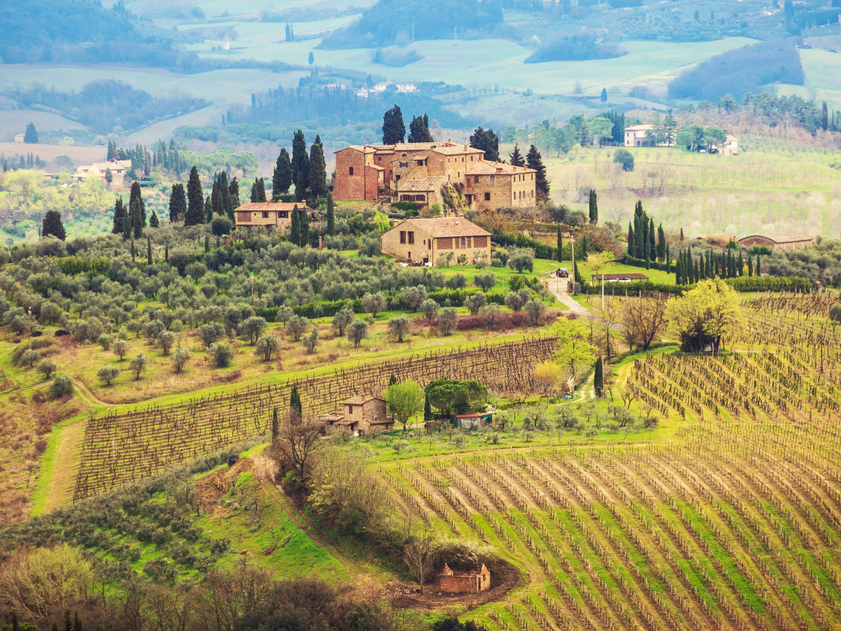 Best Vineyard Tuscany_ Discover the Finest Wineries and Wine Tasting Experiences